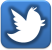 twitter-white